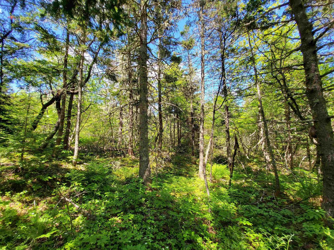 Lot C4 Everetts Way, Hunts Point, NS