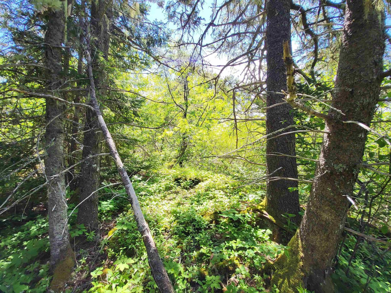 Lot C4 Everetts Way, Hunts Point, NS