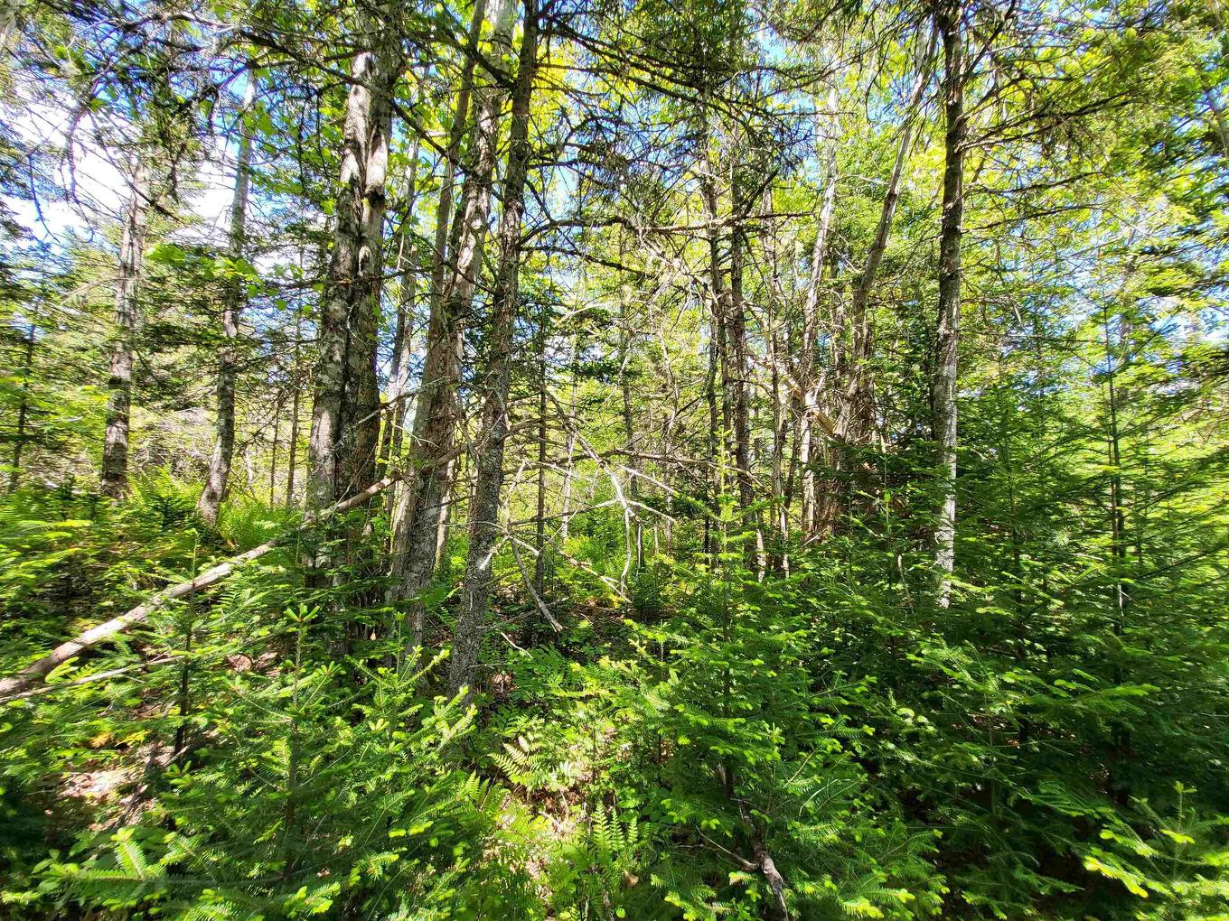 Lot C4 Everetts Way, Hunts Point, NS