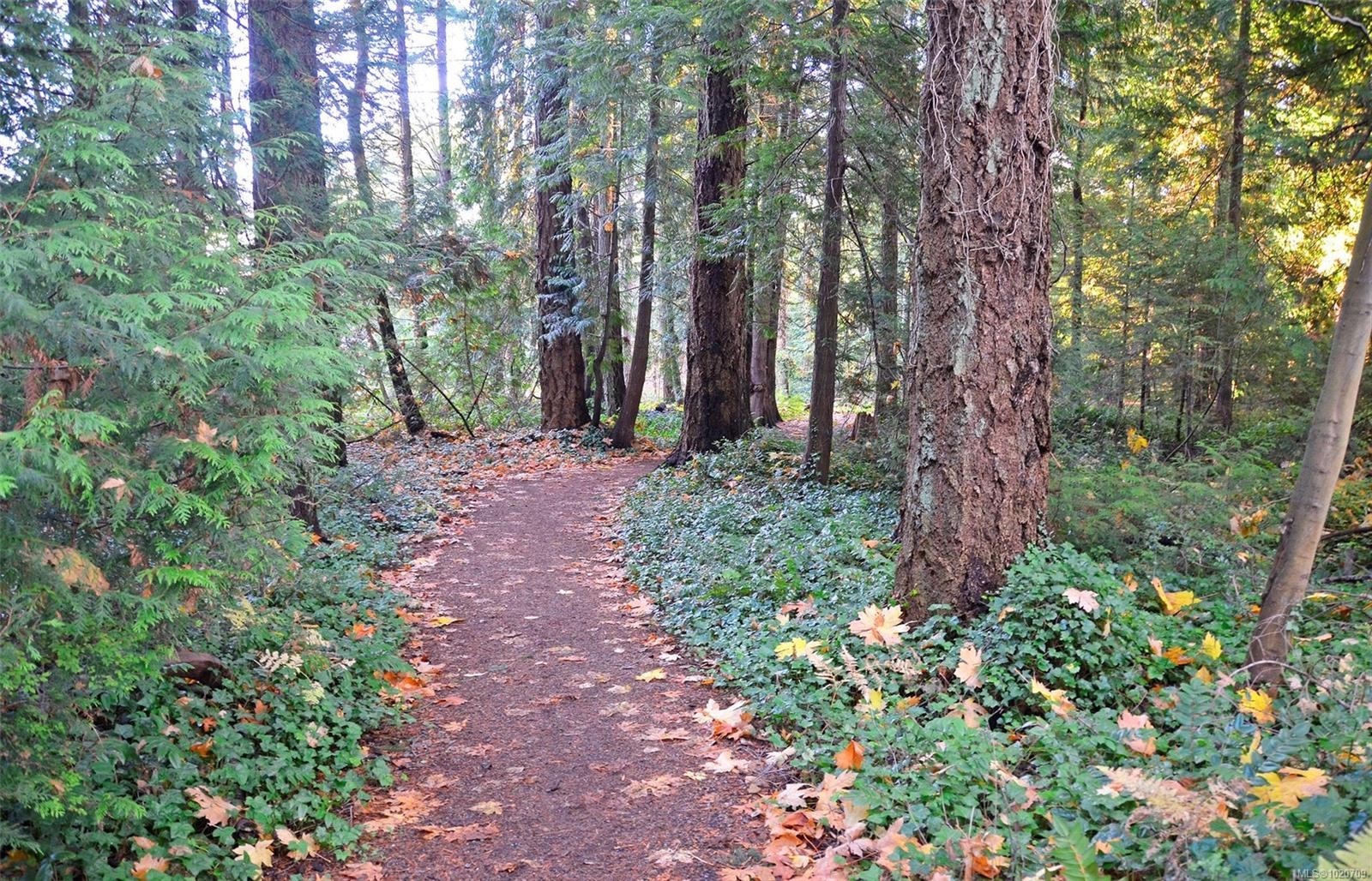 5182 Santa Clara Ave, Saanich, BC