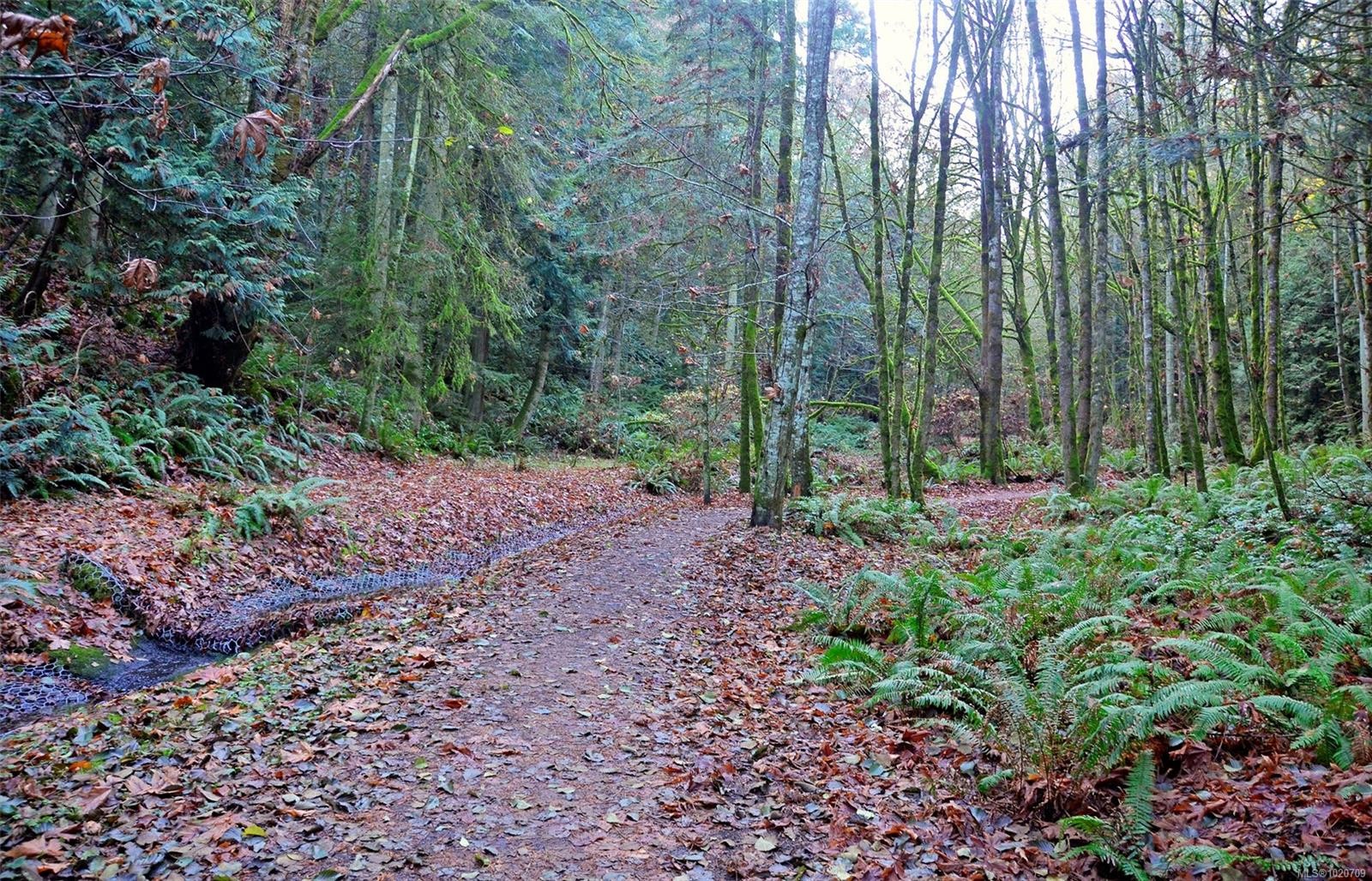 5182 Santa Clara Ave, Saanich, BC