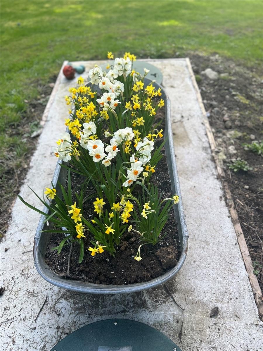 5182 Santa Clara Ave, Saanich, BC