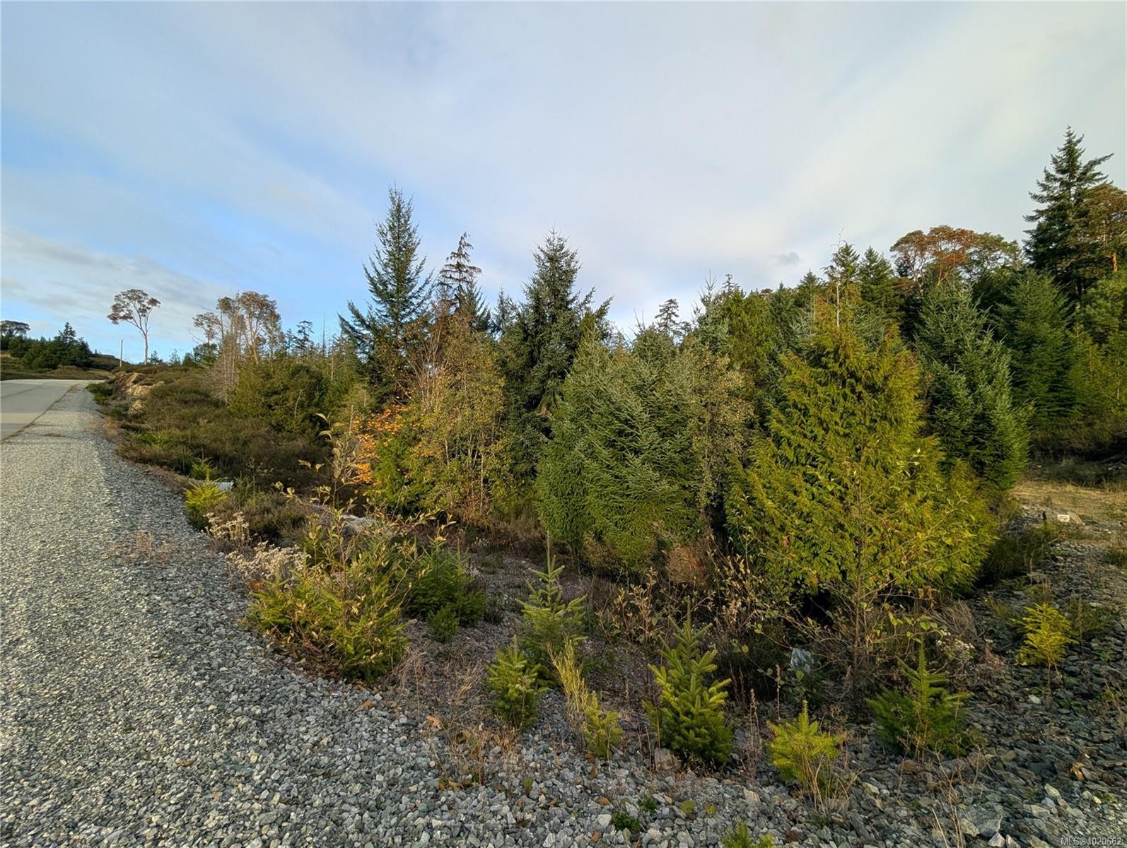 Lot 18 Eagle Dr, Shawnigan Lake, BC