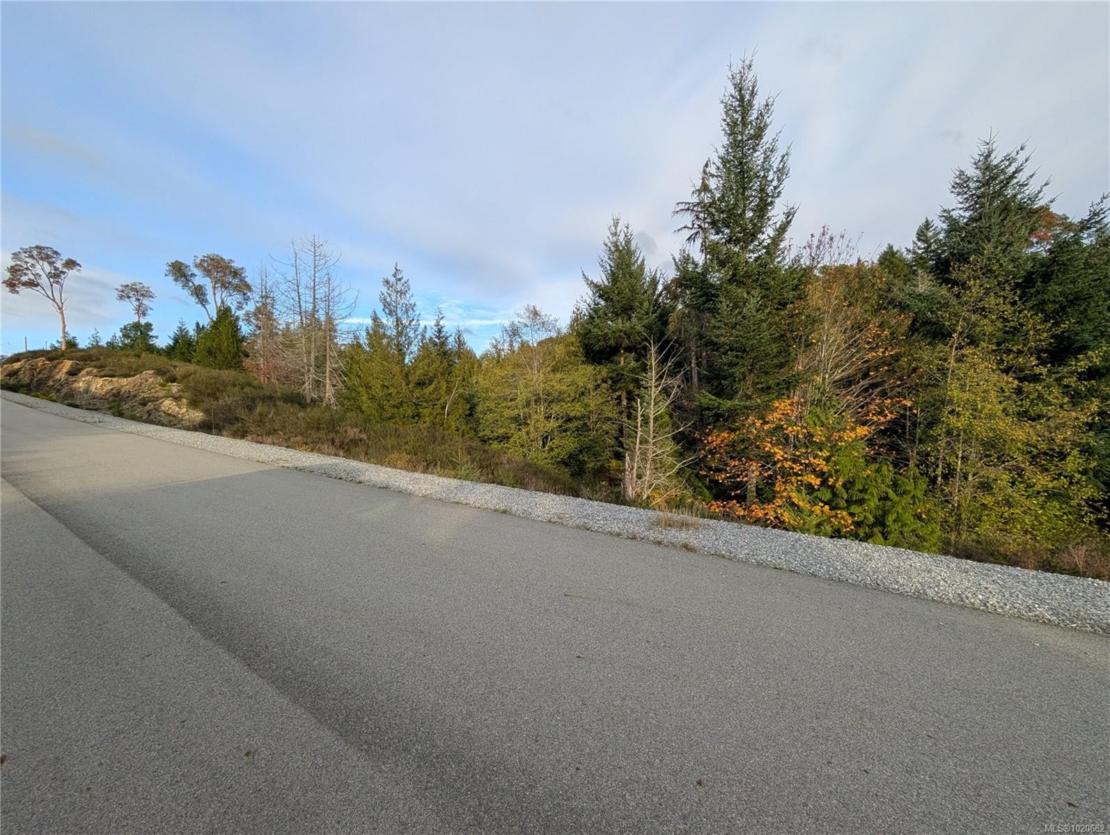 Lot 18 Eagle Dr, Shawnigan Lake, BC