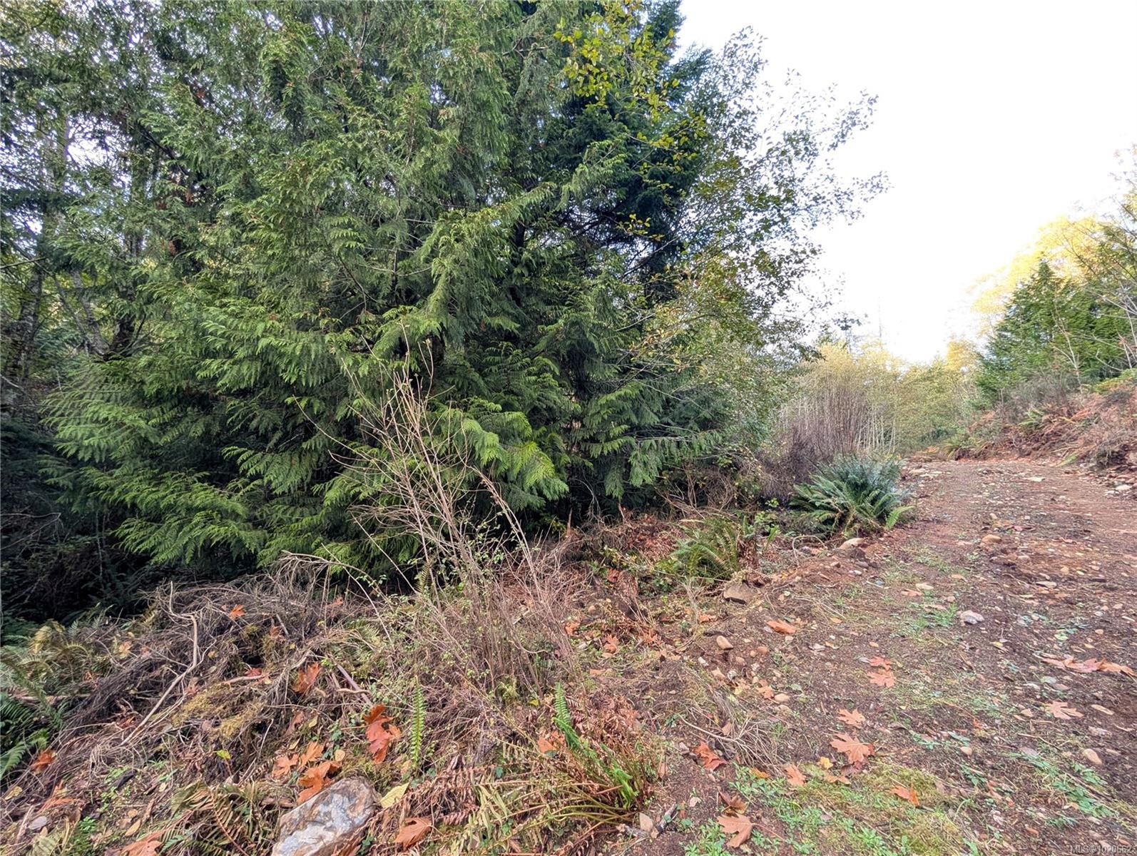 Lot 18 Eagle Dr, Shawnigan Lake, BC