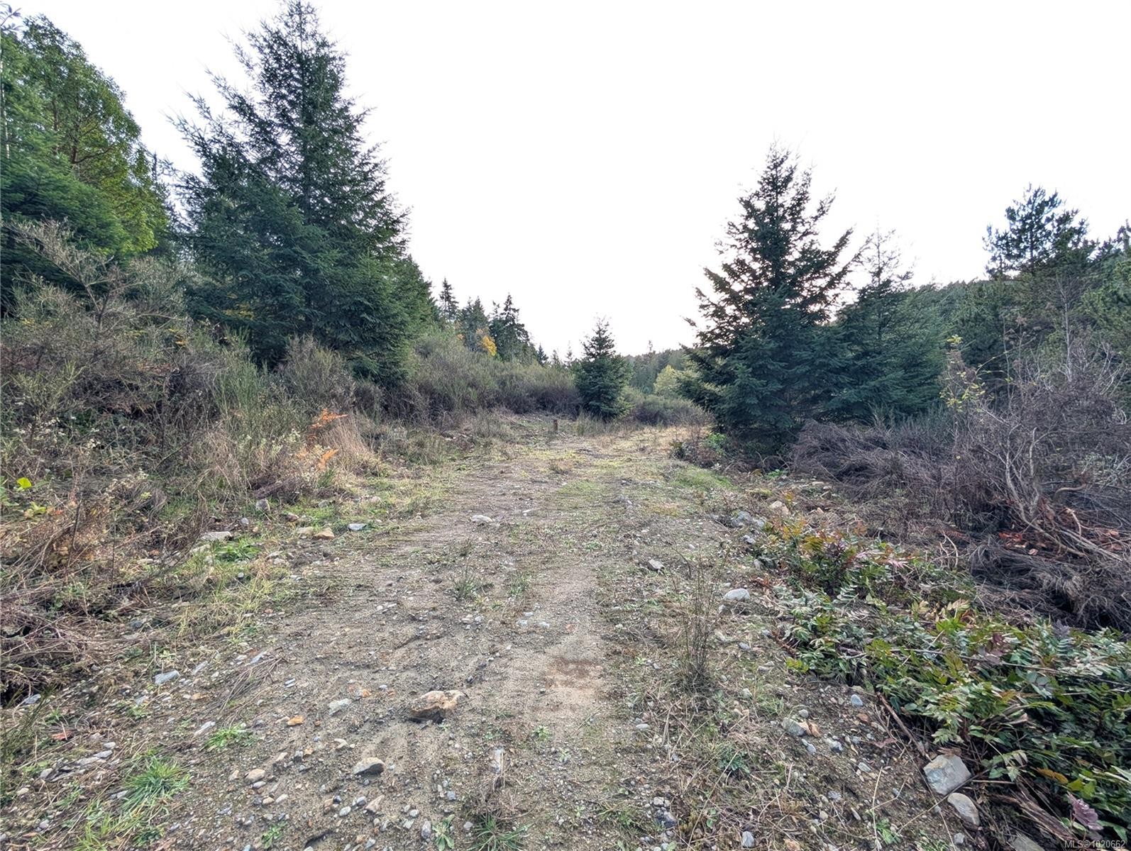 Lot 18 Eagle Dr, Shawnigan Lake, BC