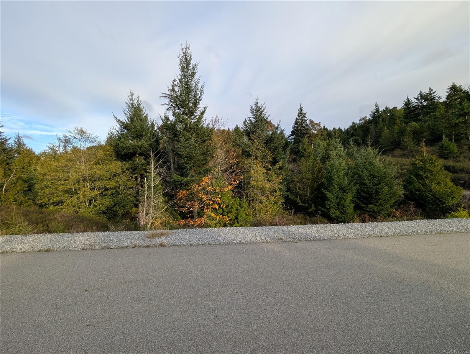 Lot 18 Eagle Dr, Shawnigan Lake, BC