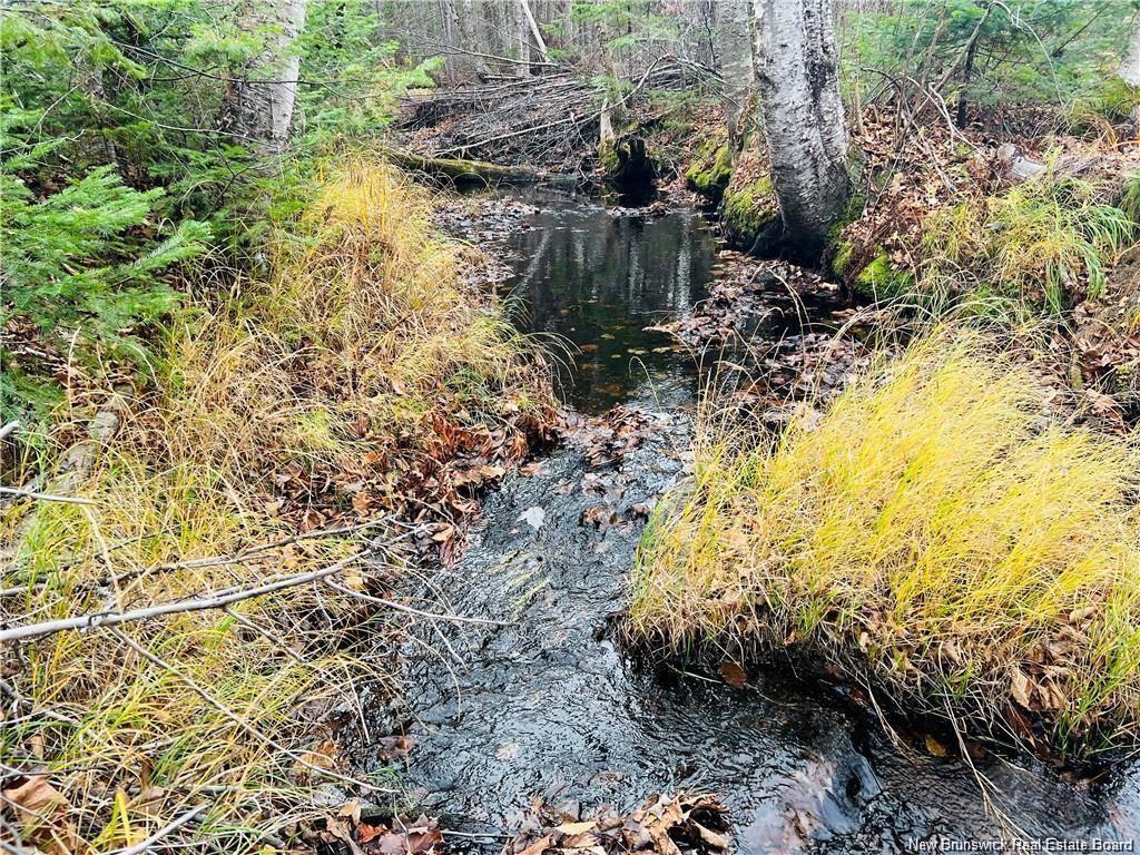 - Route 340, New Bandon, NB