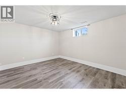 basement living room -