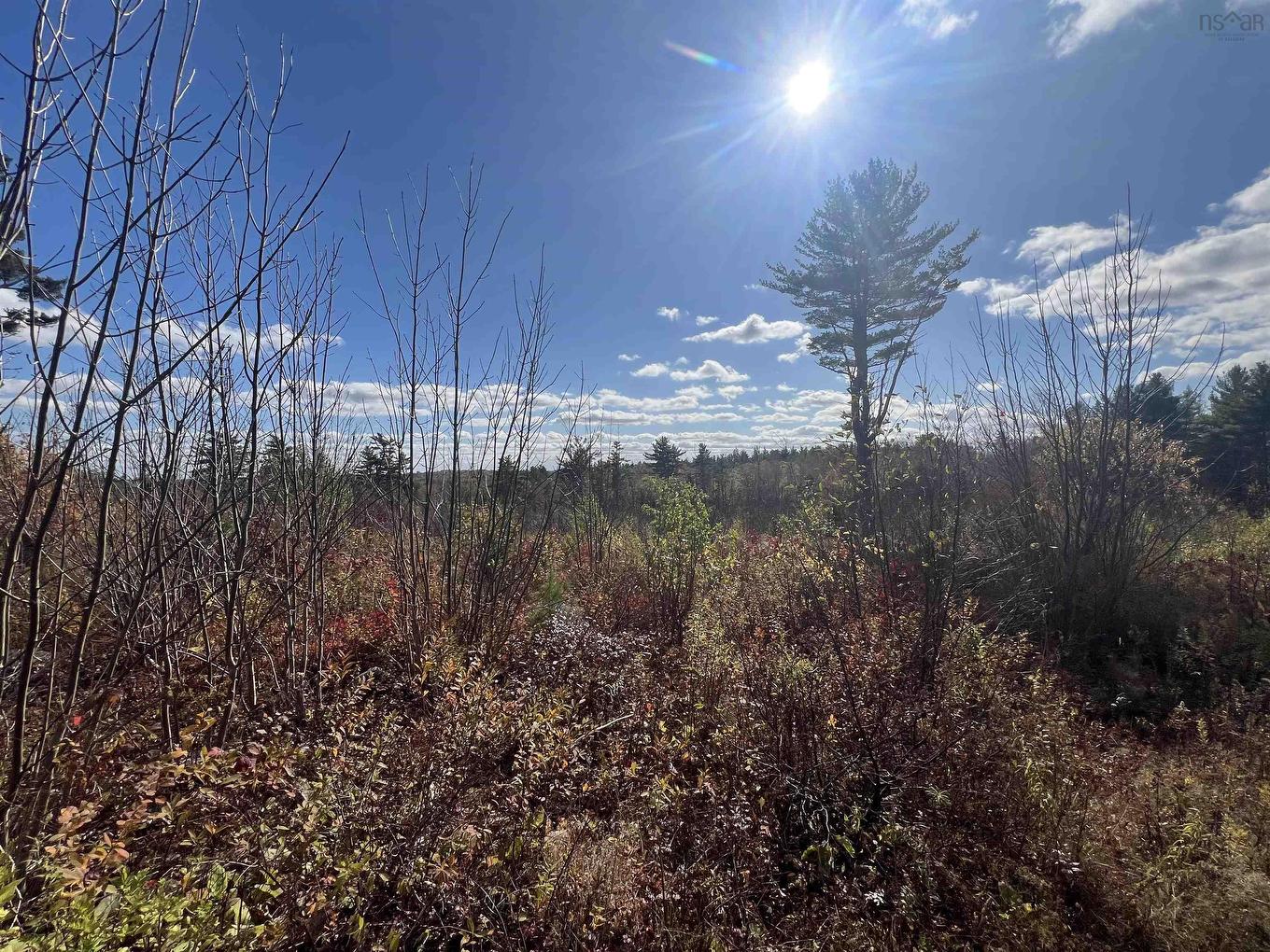 5896 Highway 8, Milford, NS