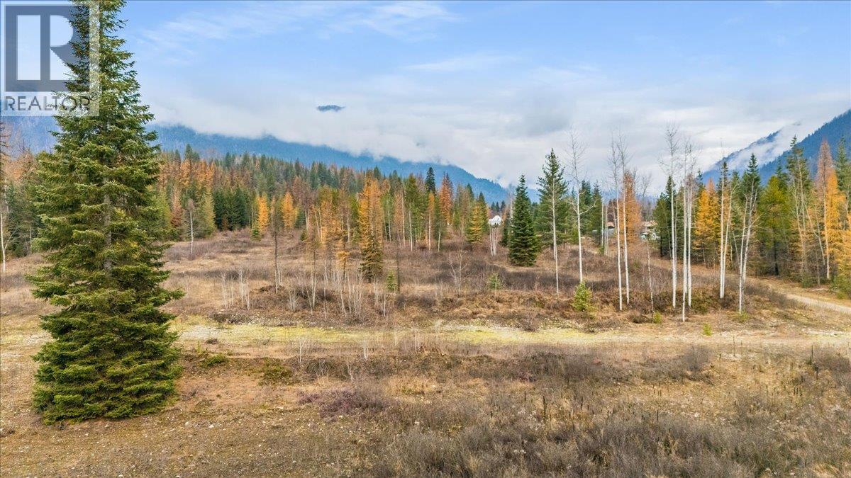 Lot B Henderson Avenue, Salmo, BC