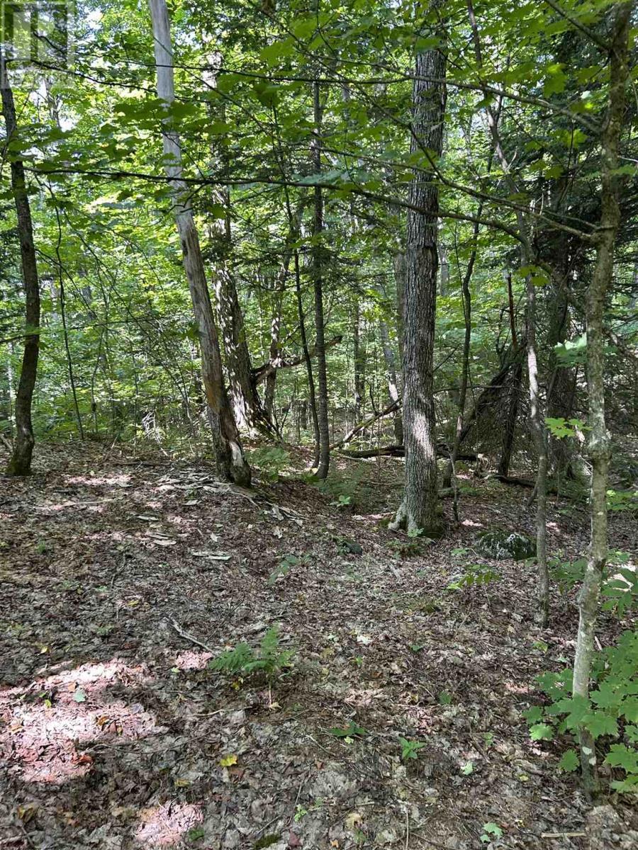 Creek Rd, Prince Township, ON