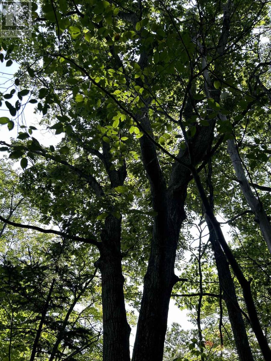 Creek Rd, Prince Township, ON