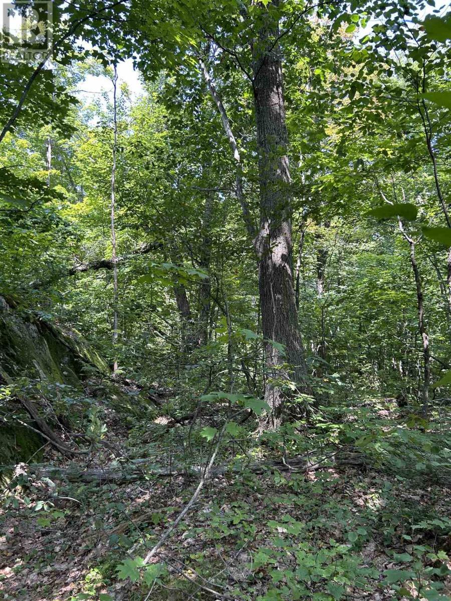 Creek Rd, Prince Township, ON