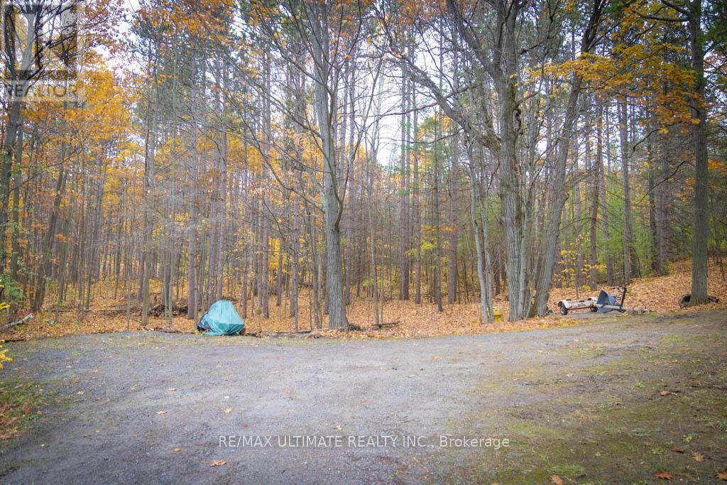 65 Sumac Lane, Scugog, ON - Outdoor