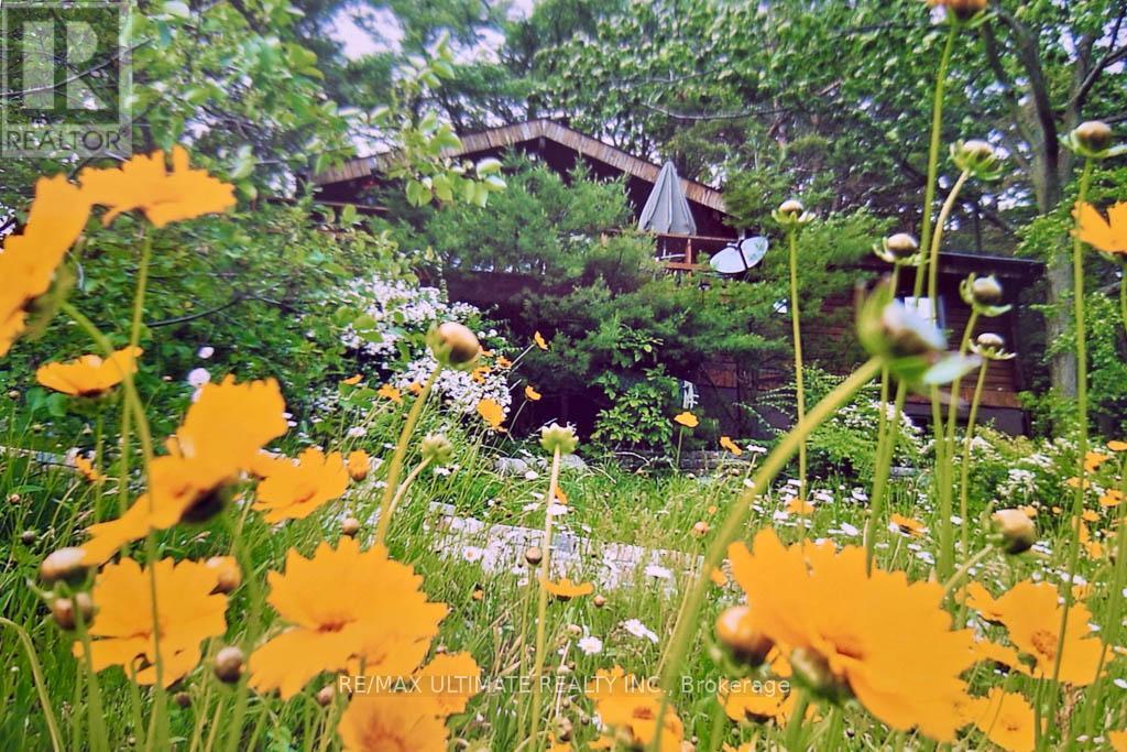 65 Sumac Lane, Scugog, ON - Outdoor