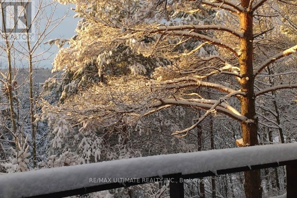 65 Sumac Lane, Scugog, ON - Outdoor