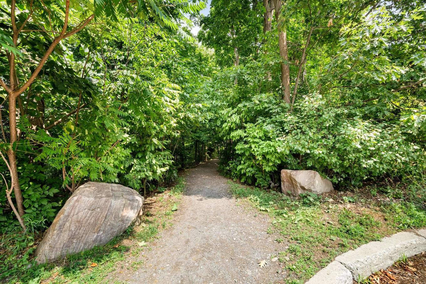 Wooded area - 3-9 Rue De Maricourt, L'Île-Perrot, QC - Outdoor