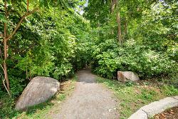 Wooded area -