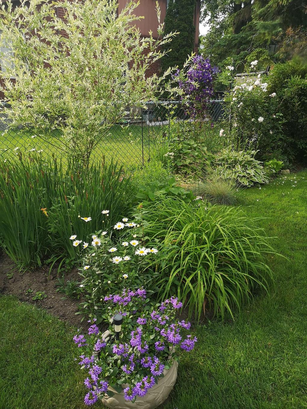 Jardin - 7420 Rue De Carpiquet, Montréal (Côte-Des-Neiges/Notre-Dame-De-Grâce), QC - Outdoor