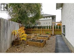 Side Yard with Garden Beds -