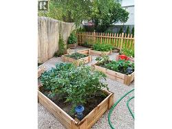Summer Garden Beds -