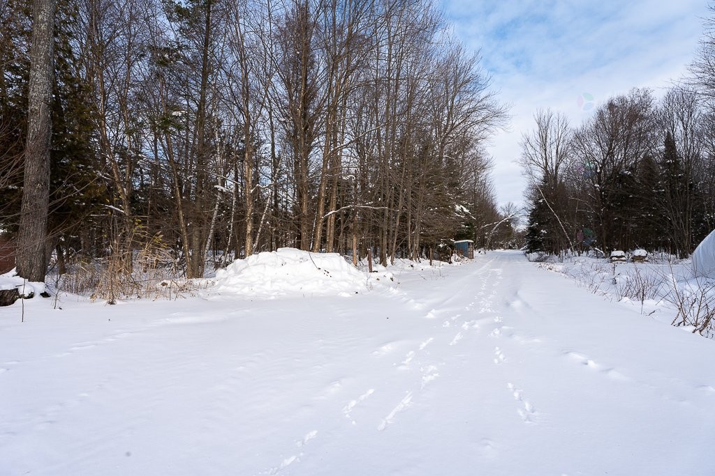 Terre à bois - 320Z 11E Rang, Wickham, QC