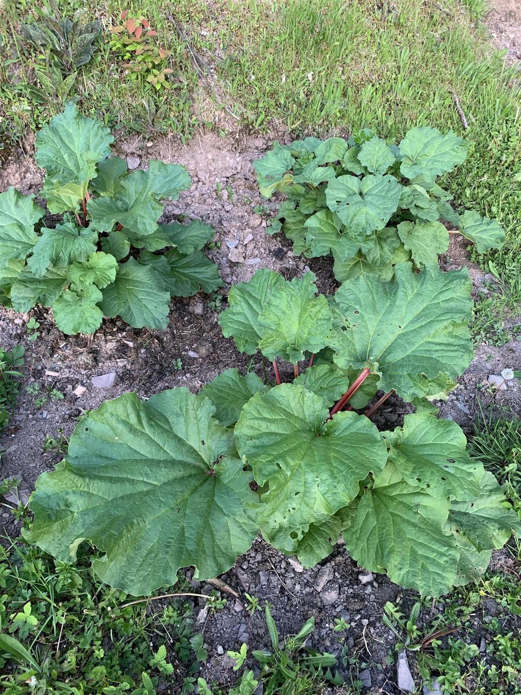 926 Highway 7, Lochaber, NS