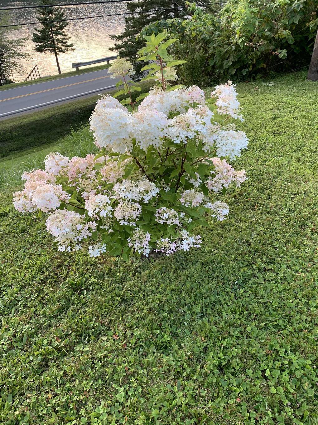 926 Highway 7, Lochaber, NS