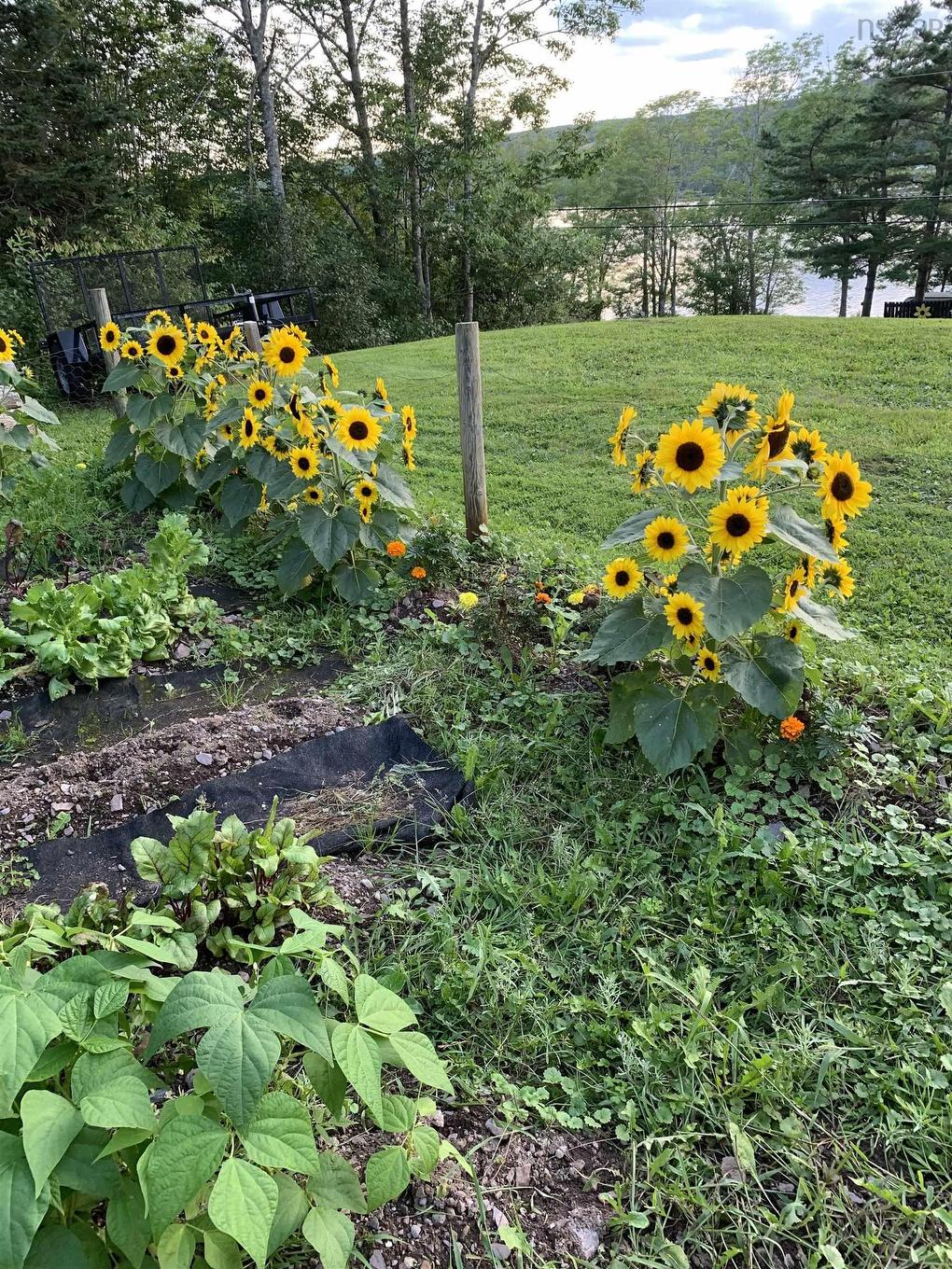 926 Highway 7, Lochaber, NS