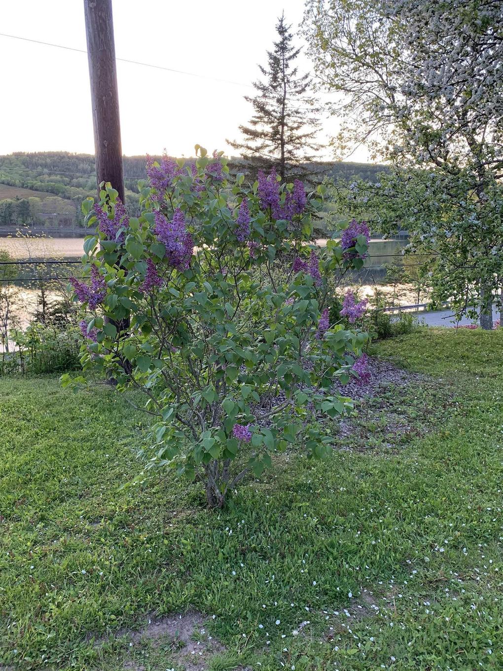 926 Highway 7, Lochaber, NS