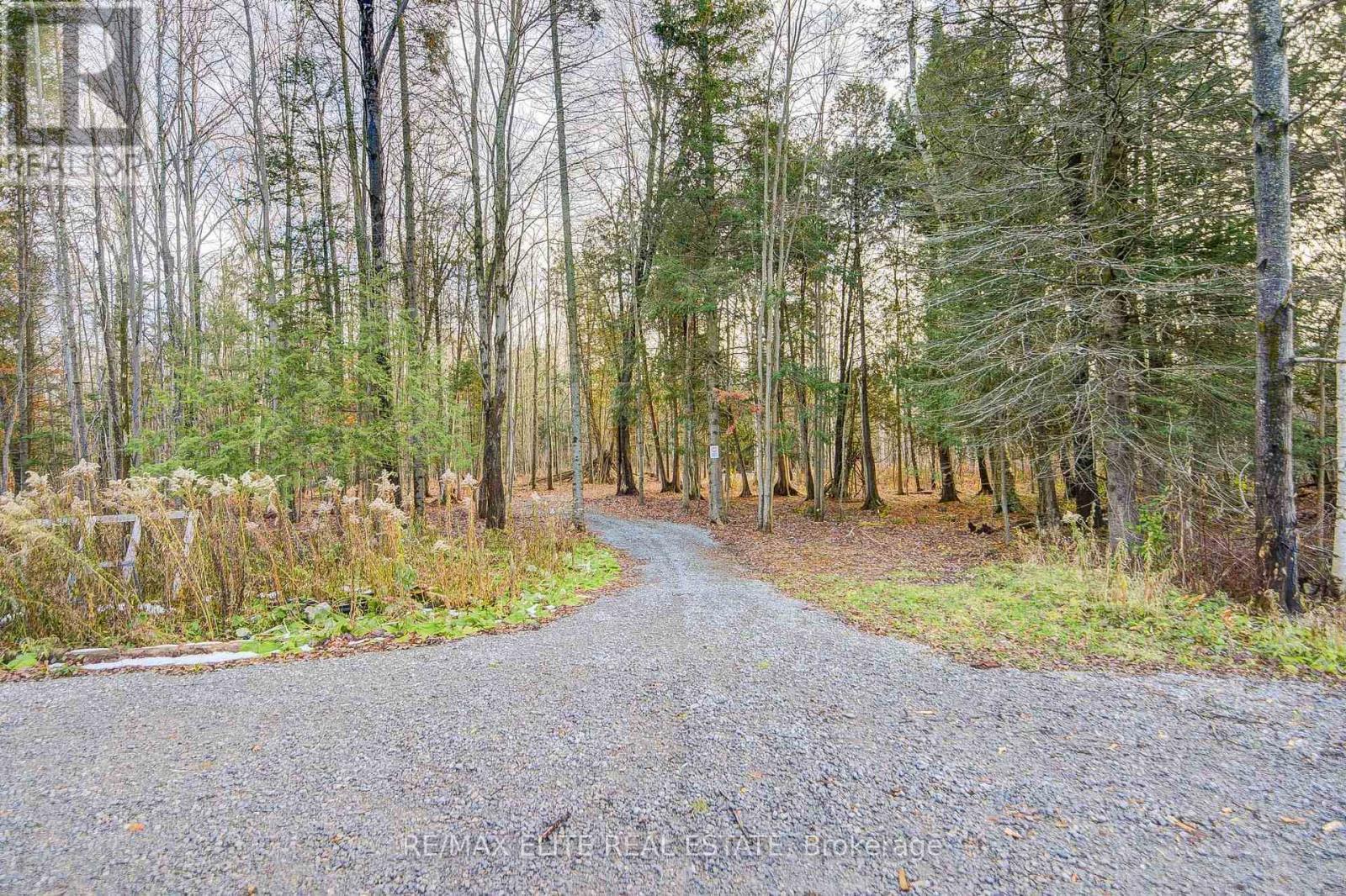 4909 Holborn Road, East Gwillimbury, ON - Outdoor