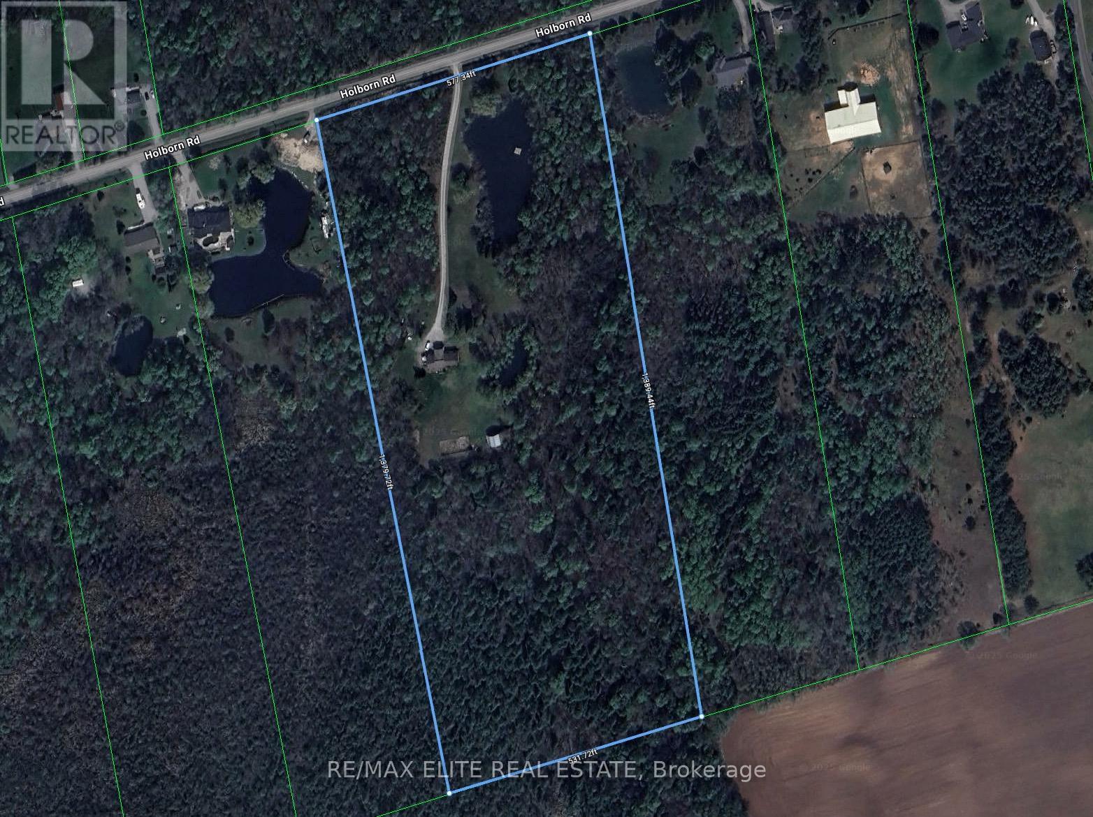 4909 Holborn Road, East Gwillimbury, ON -