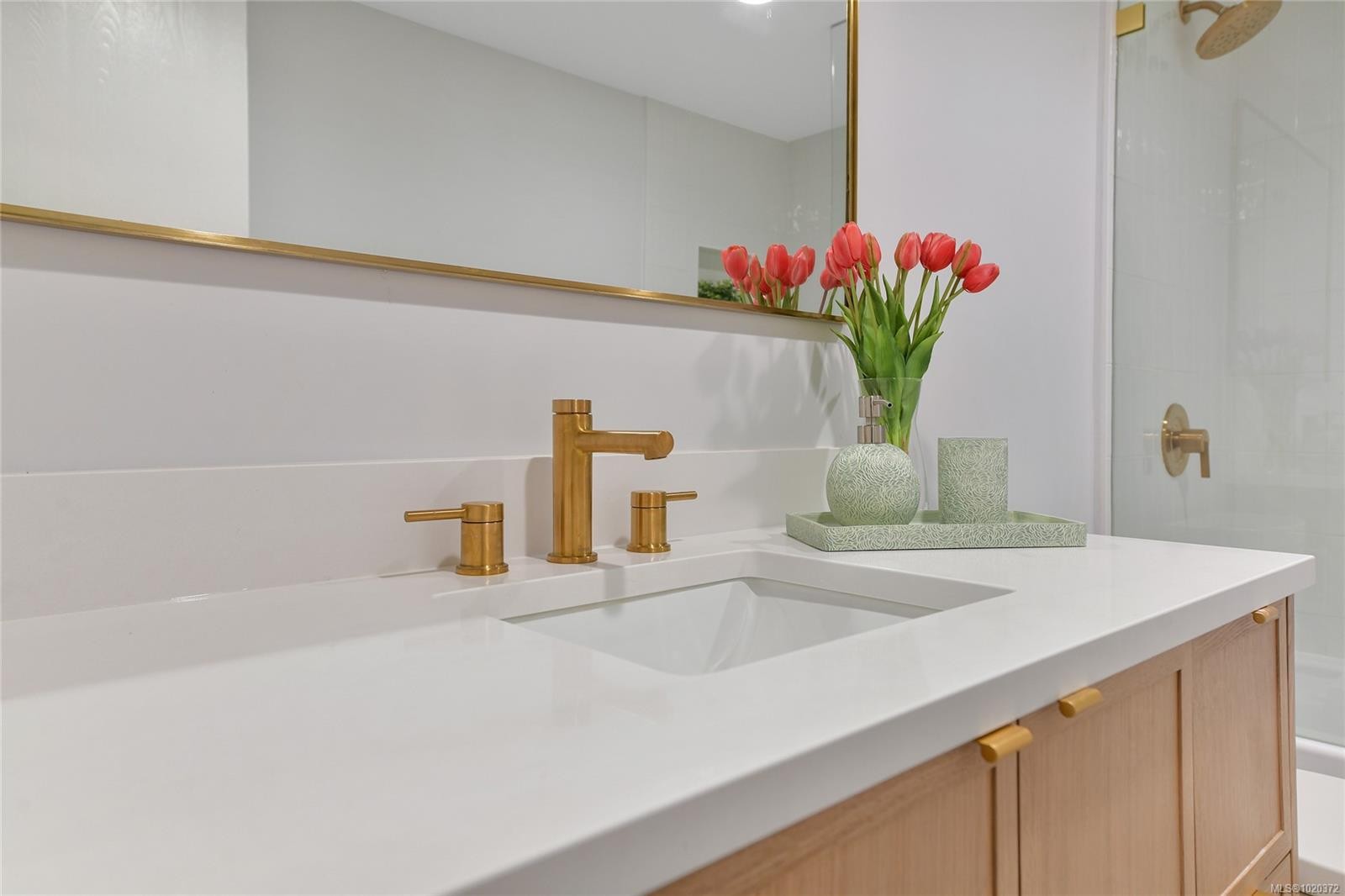 301-1366 Hillside Ave, Victoria, BC - Indoor