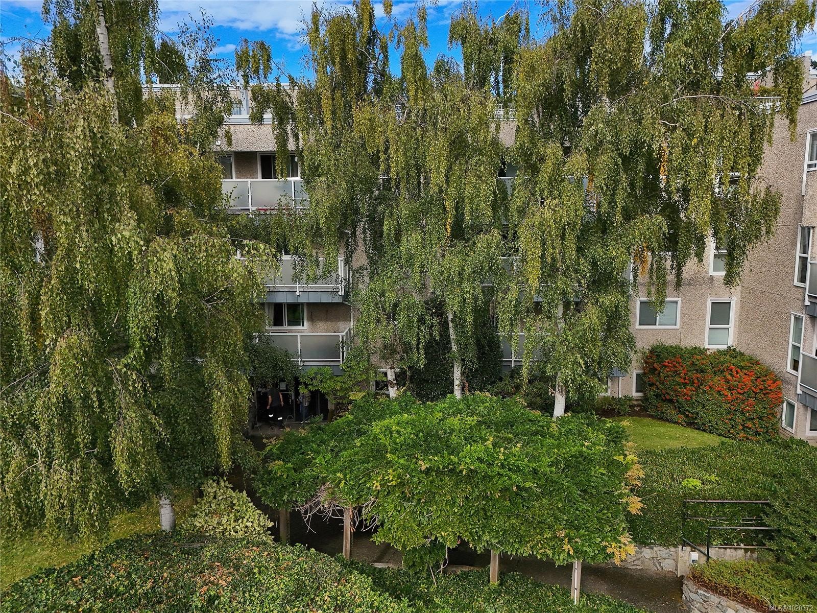 301-1366 Hillside Ave, Victoria, BC - Outdoor