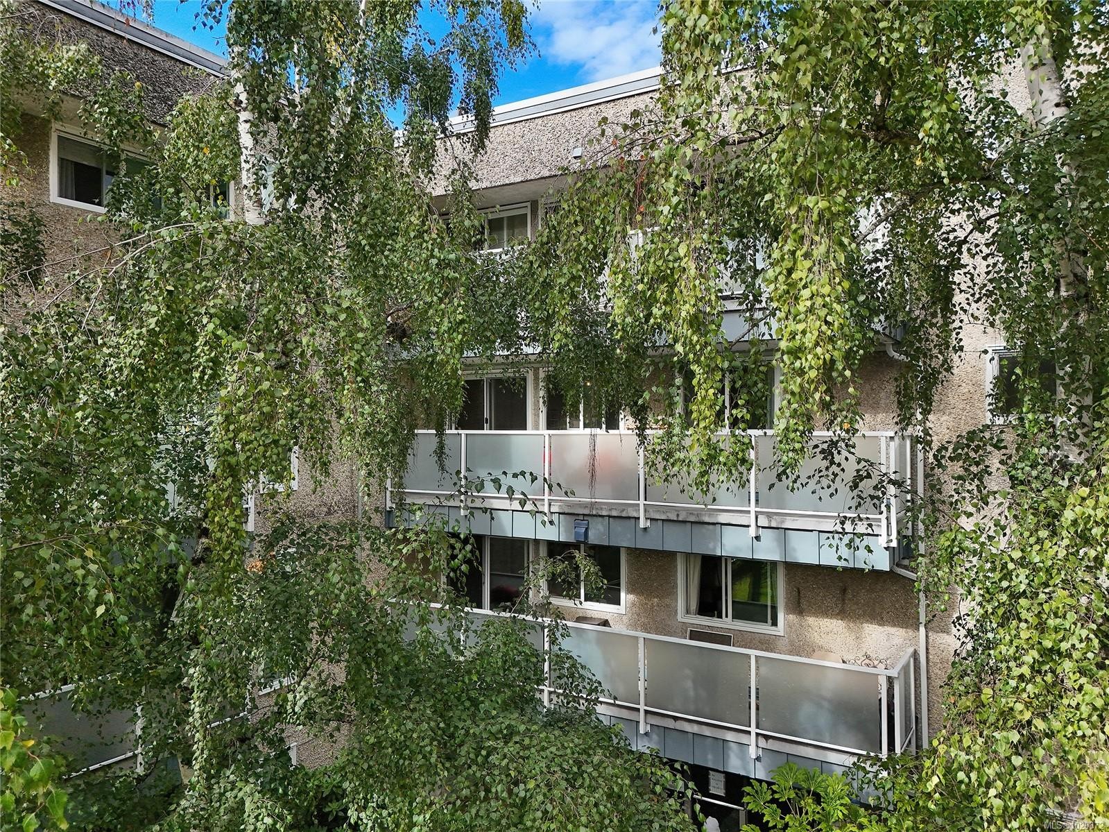 301-1366 Hillside Ave, Victoria, BC - Outdoor