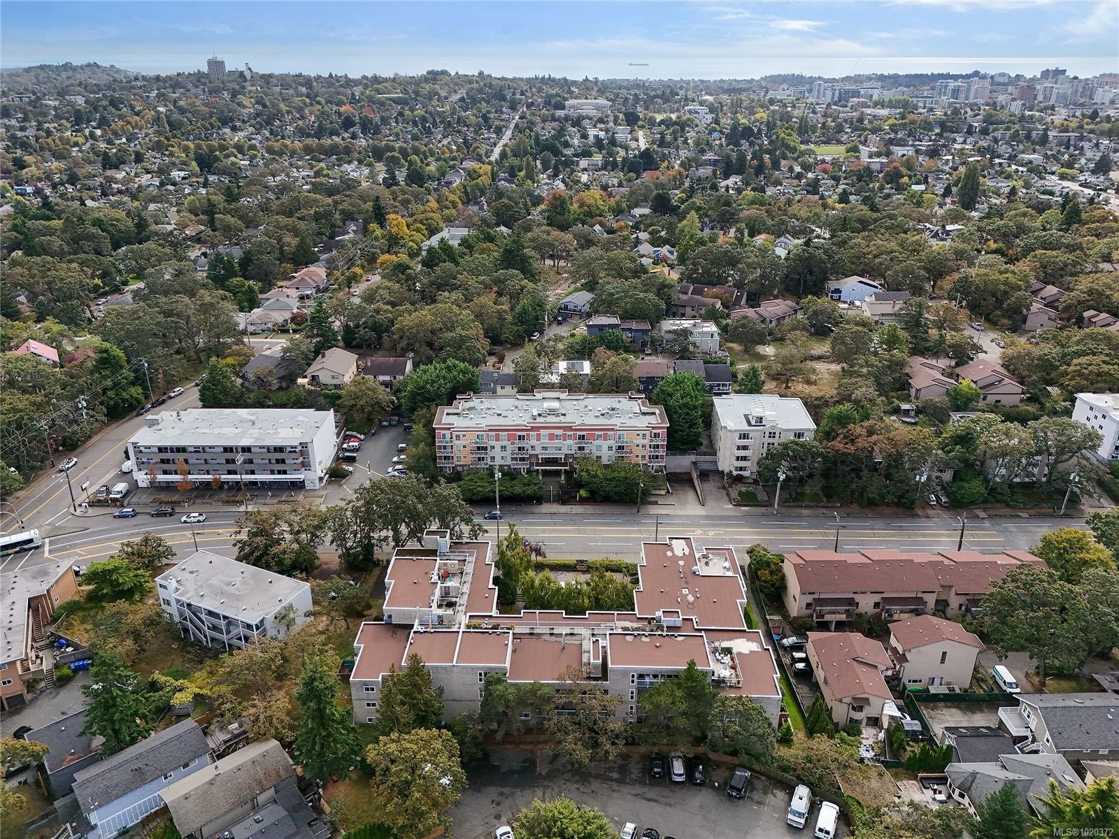 301-1366 Hillside Ave, Victoria, BC - Outdoor With View