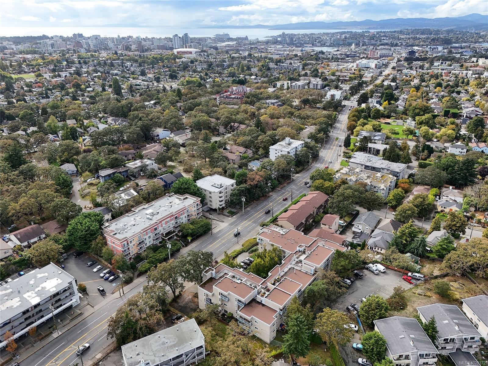 301-1366 Hillside Ave, Victoria, BC - Outdoor With View