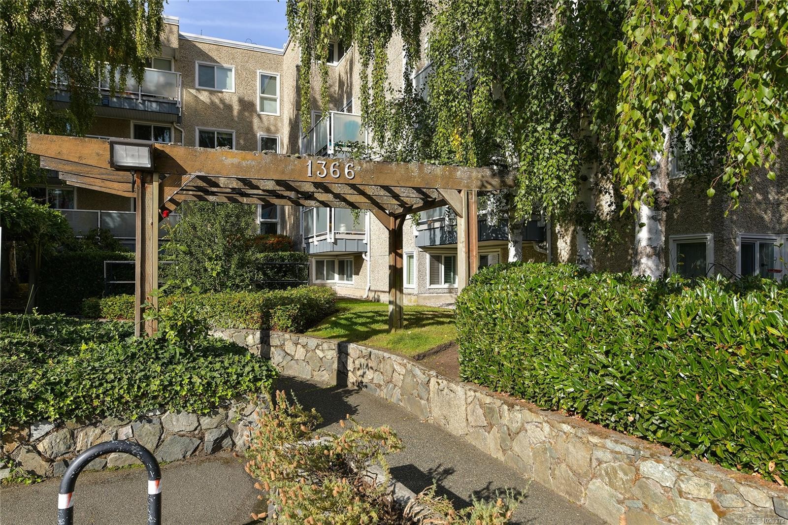 301-1366 Hillside Ave, Victoria, BC - Outdoor