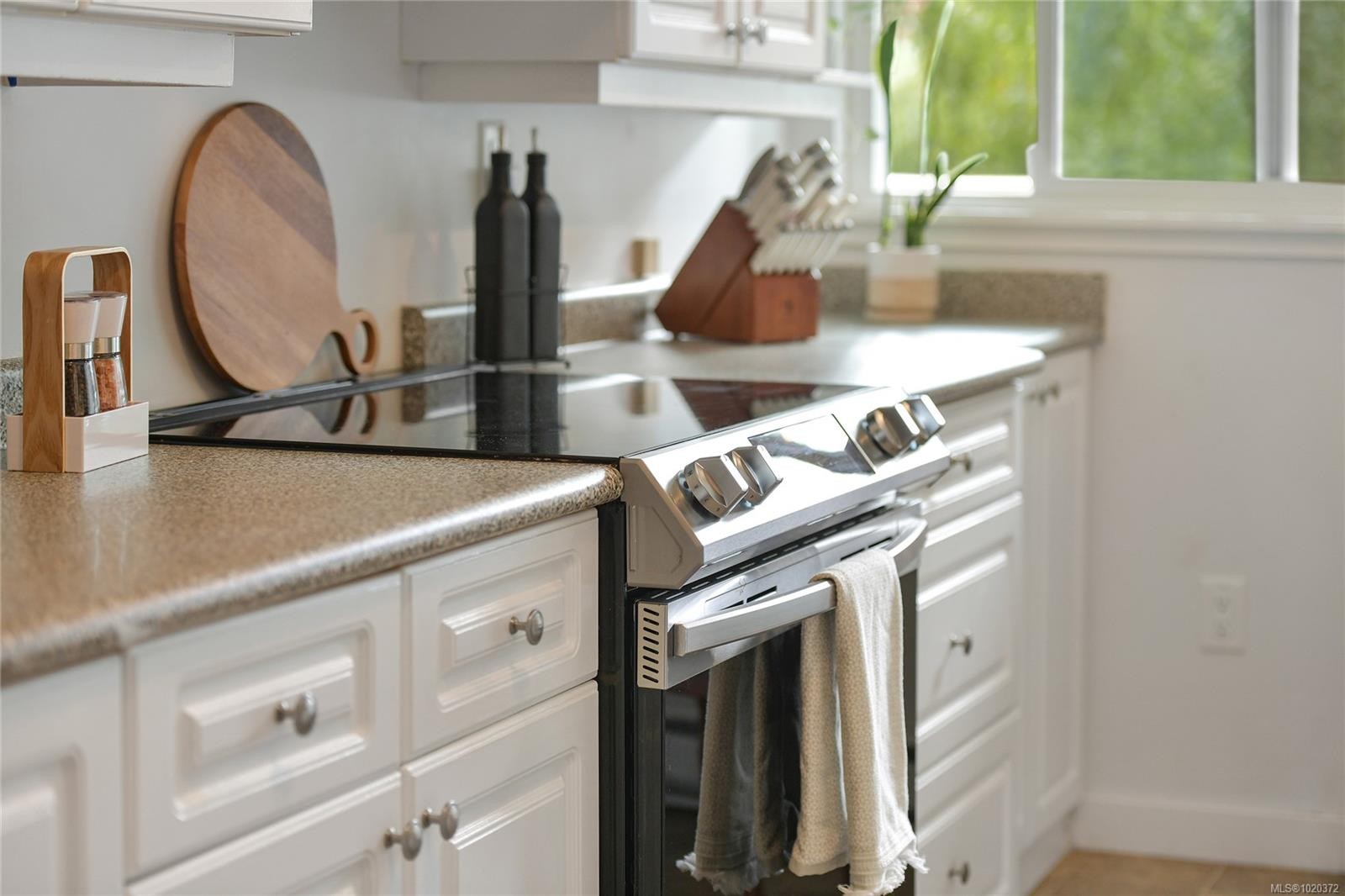 301-1366 Hillside Ave, Victoria, BC - Indoor Photo Showing Kitchen