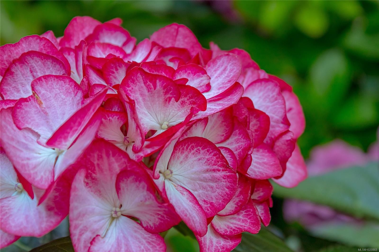 3888 Creekside Dr, Bowser, BC