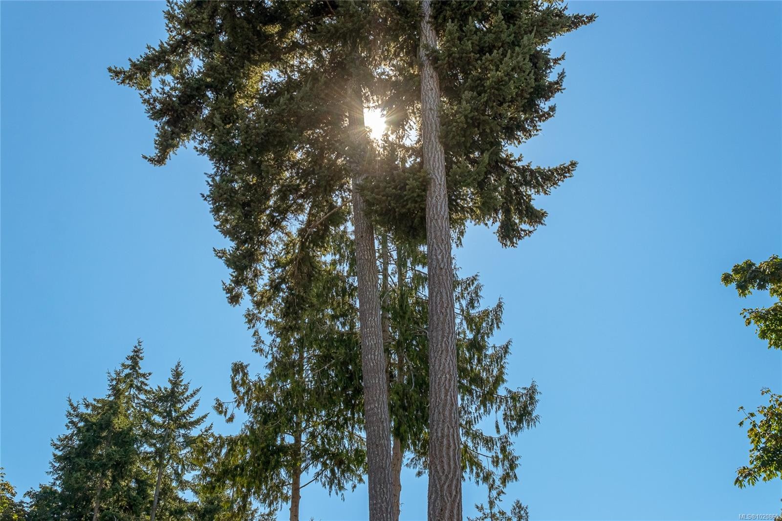 3888 Creekside Dr, Bowser, BC