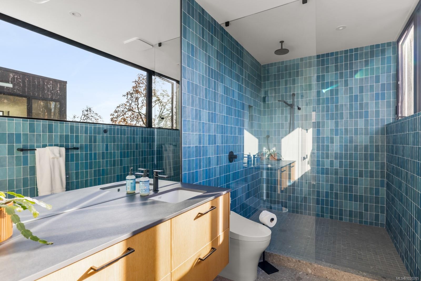 3025 Jackson St, Victoria, BC