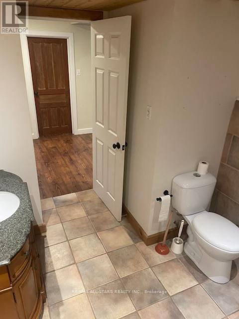 Basement - 2036 Lilac Drive, Innisfil, ON - Indoor Photo Showing Bathroom