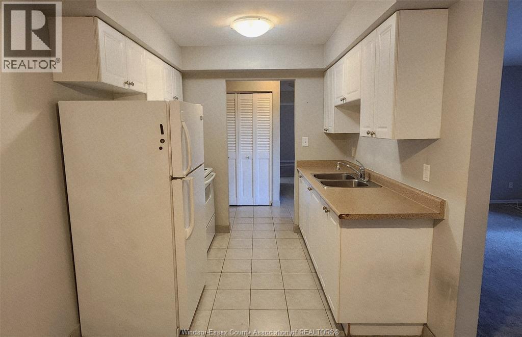 3900 Wyandotte Street East Unit# 519, Windsor, ON - Indoor Photo Showing Kitchen With Double Sink