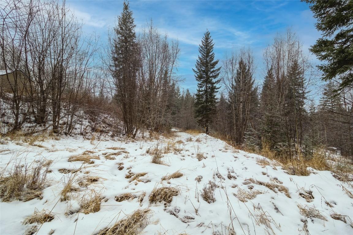 3688 Glengrove Road, Barriere, BC - Outdoor With View