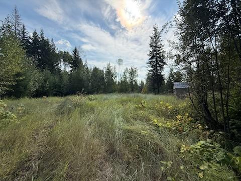 3688 Glengrove Road, Barriere, BC - Outdoor With View
