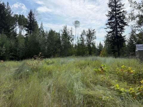 3688 Glengrove Road, Barriere, BC - Outdoor With View