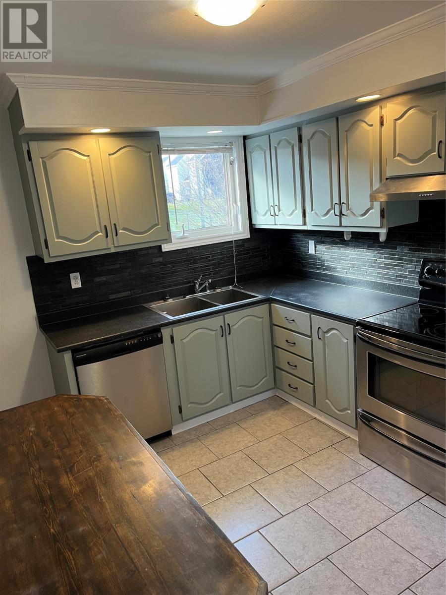 98 Commonwealth Avenue, Mount Pearl, NL - Indoor Photo Showing Kitchen With Double Sink