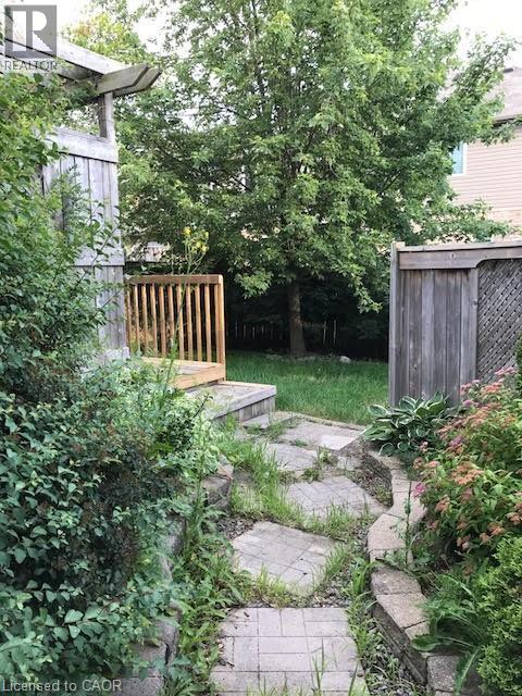 View of yard - 567 Chablis Drive, Waterloo, ON - Outdoor